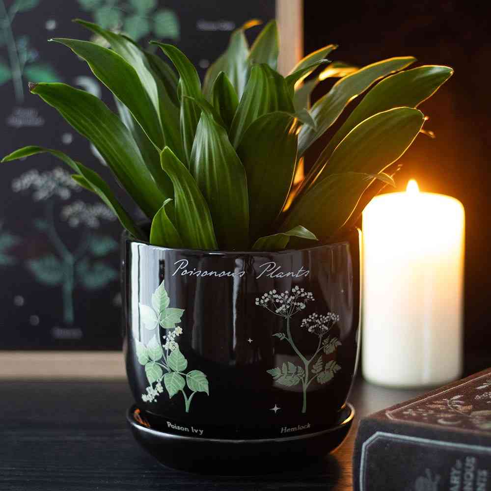 Something Different - Poisonous Plants Pot - Multicolore